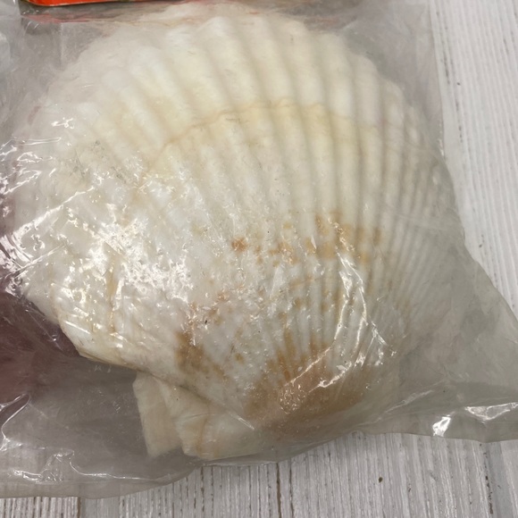 Vintage Natural Shell Serving Dishes Ovenproof & Shell Picks Set of 4 Never Used - Picture 6 of 11